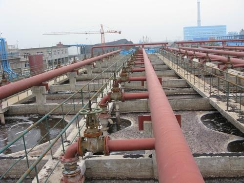 四川XX污荔枝视频app在线观看厂曝气生物滤池项目