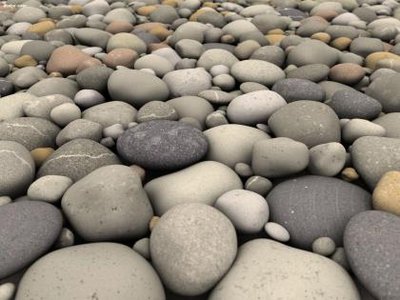 荔枝视频app下载最新版